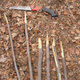 Illustration for article titled Homicidal Lunatics Busted Rigging a Popular Trail With Deadly Medieval Booby Traps